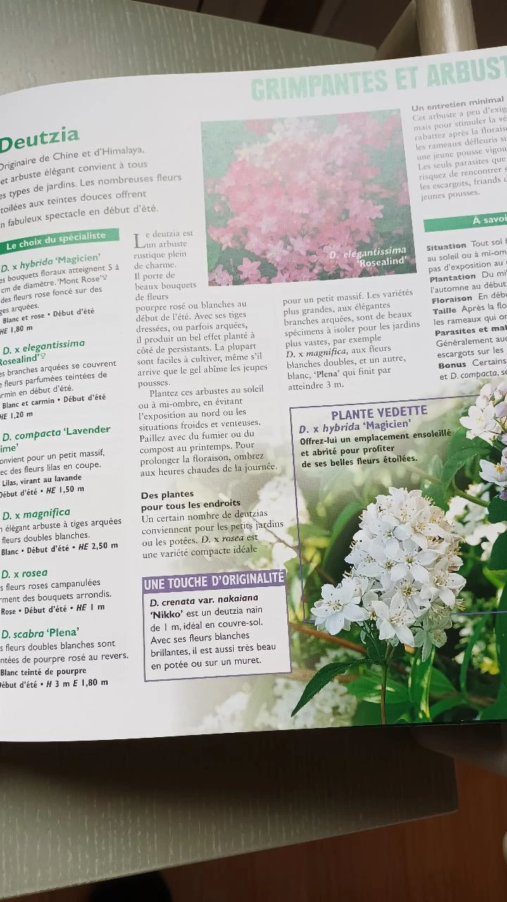 Um jardim sem preocupações – photo 8